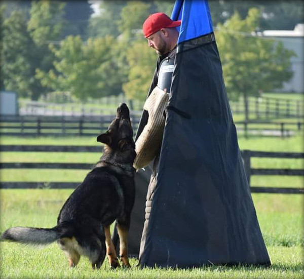 Branded blinds used for contestant hiding in dog shows and sports